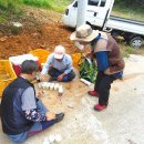 우식농장 이미지