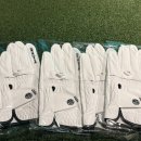 네오골프연습장 | 골프장갑 고민 끝! 남성용 베스트｜네오 글러브 실착