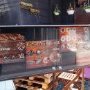 세븐일레븐(건대예술점) 이미지