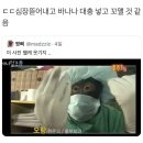 차이비인후과 네이버블로그