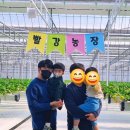 광산농장 | 광산구 아이랑 가볼 만한 곳 추천, 빨강농장 딸기체험 리얼후기