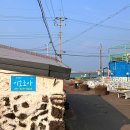 이호조아 이미지