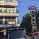 망상해오름가족호텔 | 동해 망상 해수욕장 숙소 해오름가족호텔,나인비치37