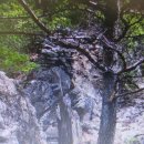 구룡산성九龍山城 이미지