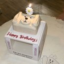 아카펠라 노래숲 | 지금이 여름이야 겨울이야?