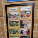 홍천원조화로구이(비발디점) 이미지