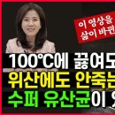 청국장엔 유산균이 없다. 열과 위산에 강한 청국장의 프로바이오틱스 고초균! 청국장 먹어야 하는 이유! 이미지