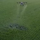 친환경 김포 이미지