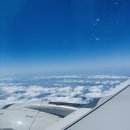 요요정원 | 1000일 기념 제주여행 DAY 1 일정(유니클로귤메달티, 요요정원, 이익새양과점, 우무)