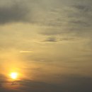 in 섬 story 이미지