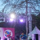 음악역1939 피크닉 콘서트 이미지