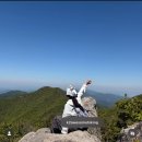 팔공산왕건길 8코스 | [K2 어썸하이킹] 팔공산 국립공원 동봉 등산 미션 후기