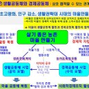 마을과사회적경제
