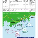 반도카 | [시즈오카] 4박 5일 시즈오카 이즈반도 완전 정복 - 렌터카 여행 일정 / 후기 요약