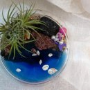 바닷가작은숲 이미지