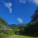 숲속의펜션 이미지