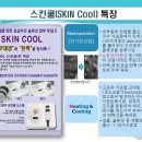 스킨 쿨