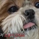 마스 이미지