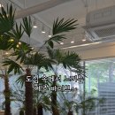 산호대로-31 네이버블로그