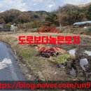 썬공인중개사합동사무소 네이버블로그