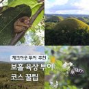 영장농장 | 보홀 육상투어 현지 코스 추천 초콜릿힐 안경원숭이 체크아웃 투어 여행 팁