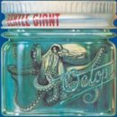 프로그레시브 락(Gentle Giant / Octopus, 1972) - 48 이미지