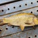 초당낚시터 이미지