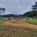 사명대사공원건강문화원 이미지