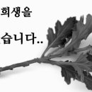 예당개인택시2 이미지