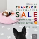 플레이펫 네이버블로그