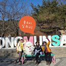 용문산 은행나무길(물소리길 6코스) | [ 양평 걷기 좋은 길 ] 용문역에서 용문사 천년 은행나무에 이르는 길, 양평물소리길 6코스