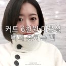 머리 못하는 집 이미지