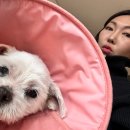 거령(주) 이미지