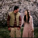 너는내운명 이미지