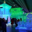 화천포레스트 이미지