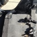 탑 카워시 이미지