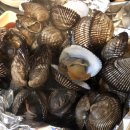 진상이네 술술포차 이미지