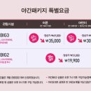 스카이아트