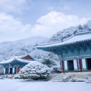공작산조경