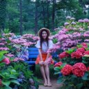 성림포레스트 이미지