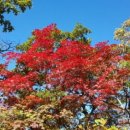 화순성심병원 이미지