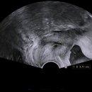 서초중앙로8길 18 이미지