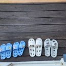 쮸펜션 | 전복죽 조식에 감동한 안면도 펜션 아이와 함께한 완벽한 하루