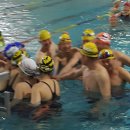 팔마수영장 이미지