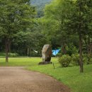 한방생태숲 이미지