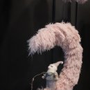 라벨메종 이미지