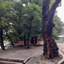 단월면사무소 이미지