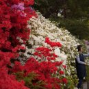 예술관길 이미지