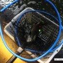 놀러와 실내낚시터 이미지