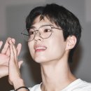 바닐리 이미지